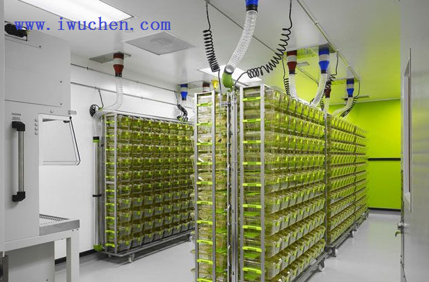 實(shí)驗(yàn)動(dòng)物房 實(shí)驗(yàn)動(dòng)物房